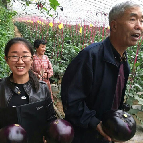 企業(yè)風(fēng)采