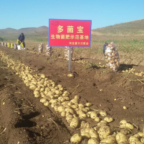 企業(yè)風(fēng)采